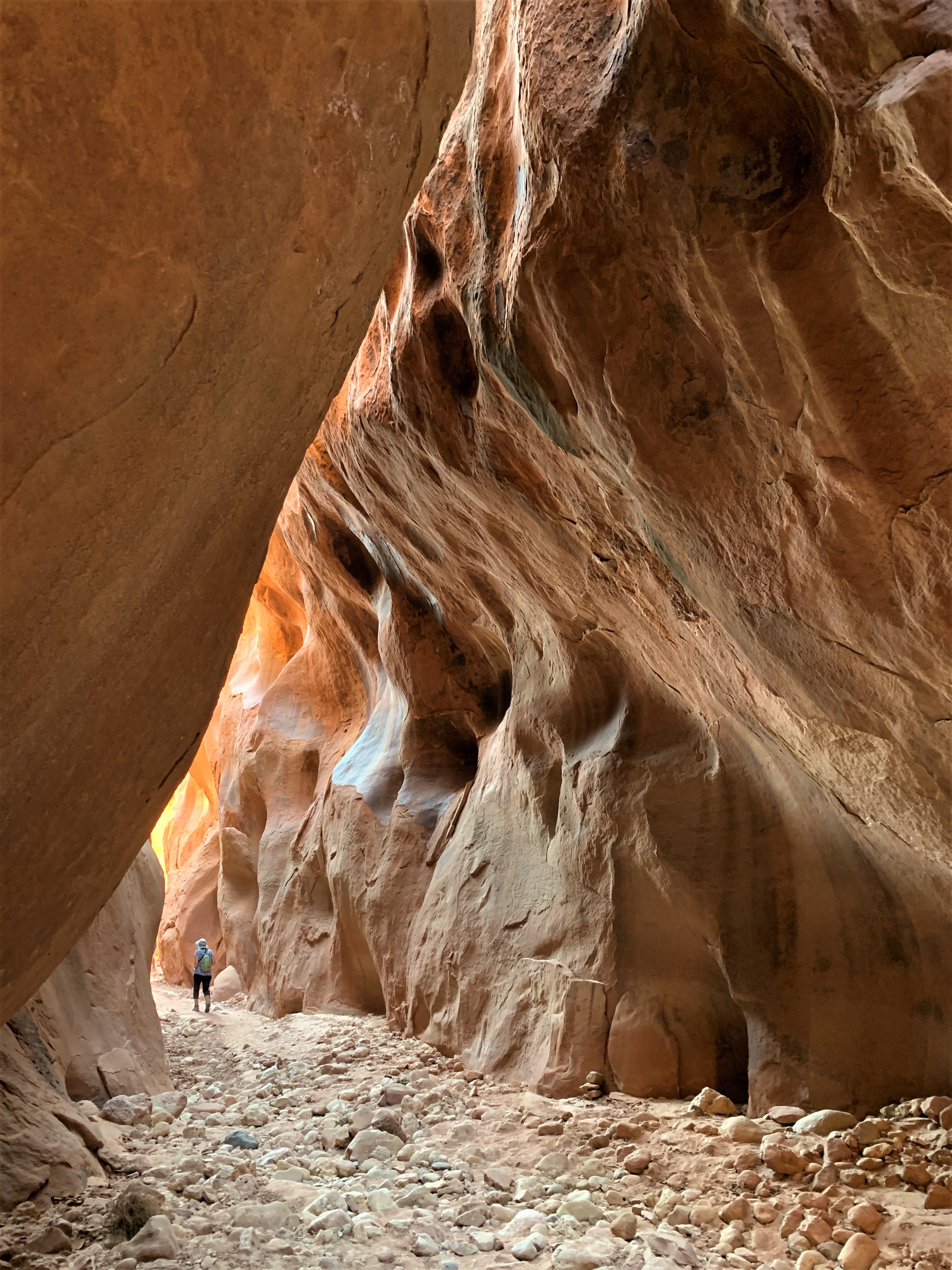 Vermillion Cliffs NM
